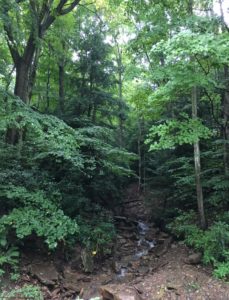 we found time to rejuvenate with a hike on the GAP