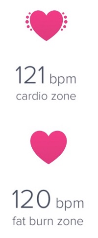 endurance heart rate training