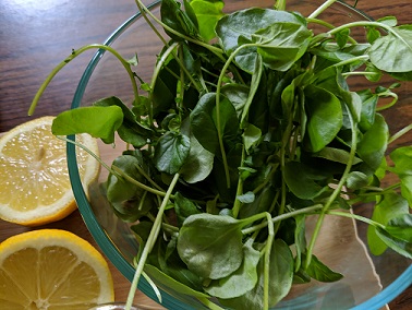 watercress