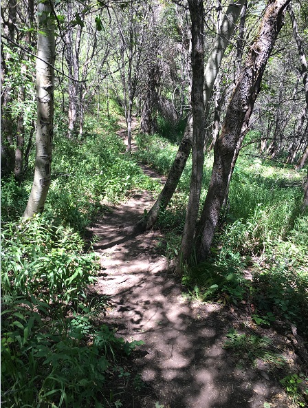 New challenges on a hike in Utah