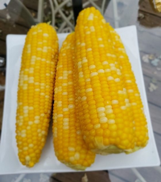 Corn on the Cob: Veggie Challenge