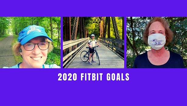 2020 Fitbit Goals