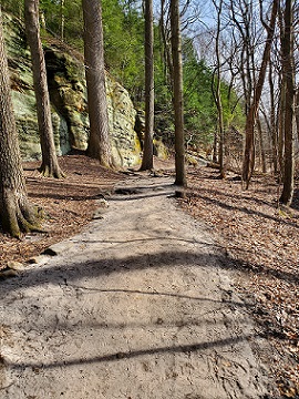 Celebrating St. Patrick's Day Outdoors