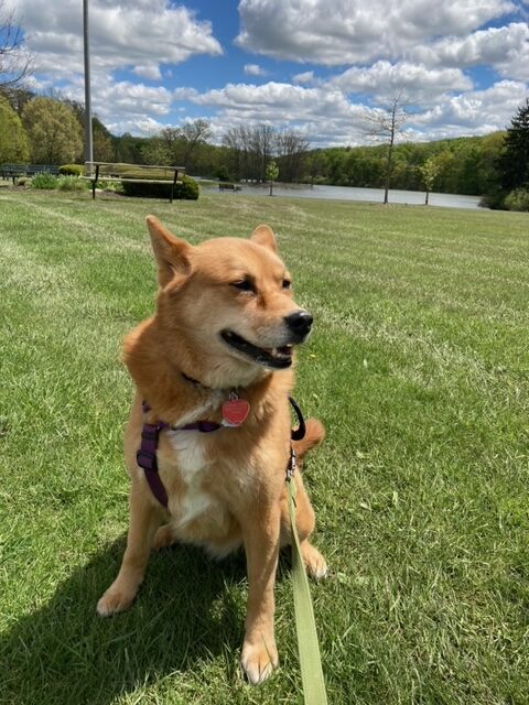 Walking Peanut at Hudson Springs Park