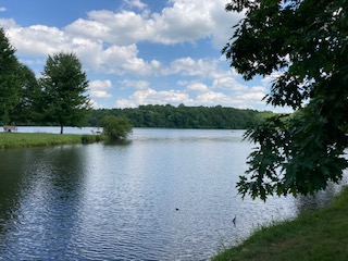 stay cool with a walk in the shade around a lake