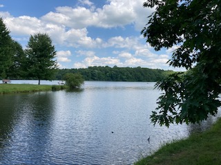 Staying cool by walking around a lake in the shade