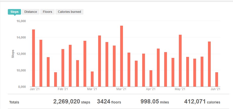 2021 Fitbit Goals Halfway Mark