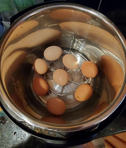 Hard Boiled Eggs in the Instant Pot