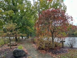 Walking at Hudson Springs Park to keep a fitness mindset