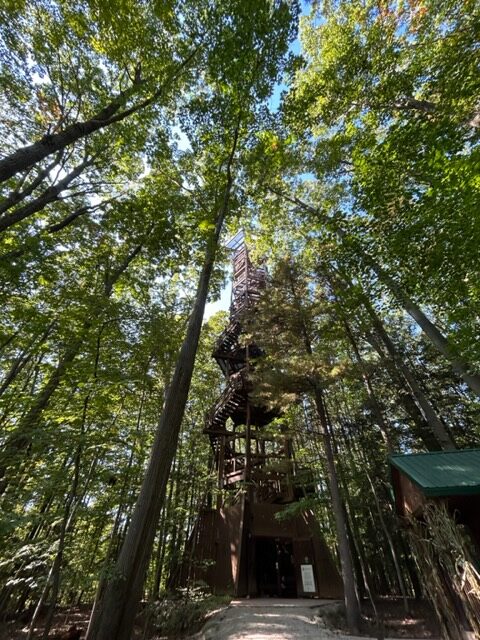 This giant tower is above the top of the Oak trees!