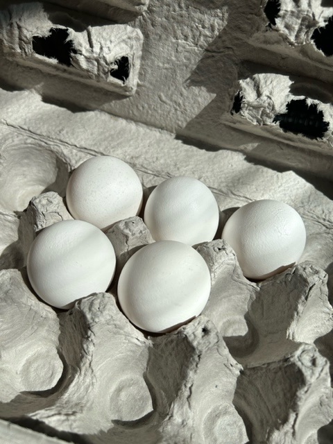 Eggs are a delicious, nutritious meal - carton
